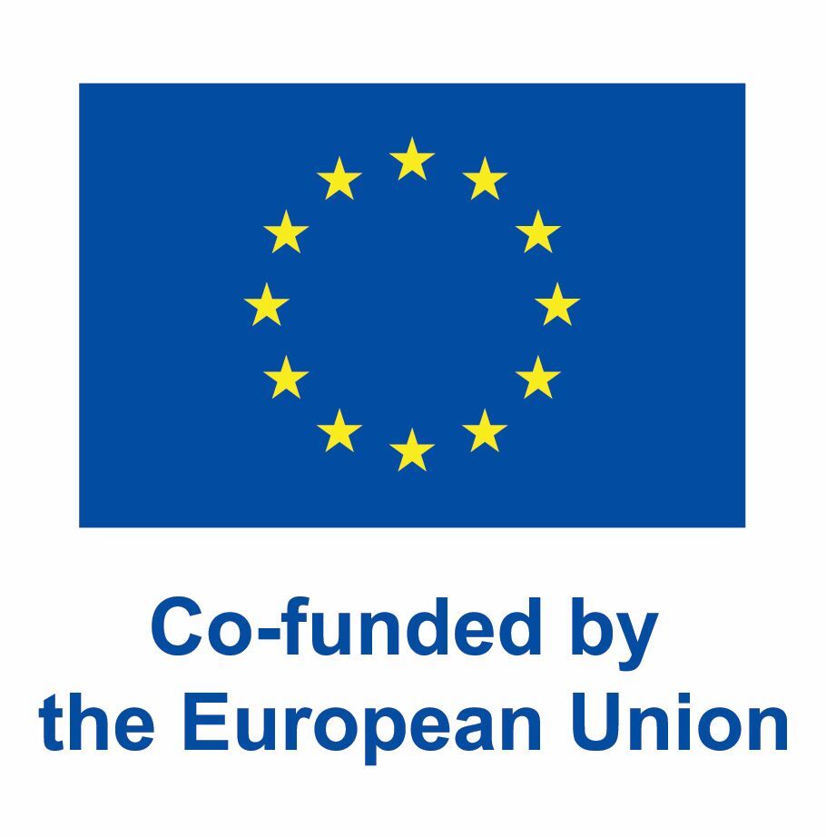 EU Logo